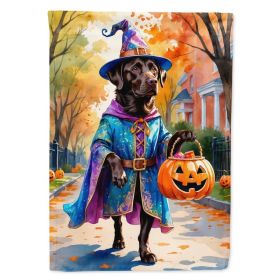 Chocolate Labrador Retriever Halloween Trick or Treat House Flag Large Porch Sleeve Pole Decorative Outside Yard Banner Artwork Wall Hanging, Pol (Option: Default)